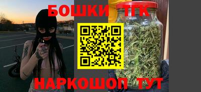 МДПВ Будённовск