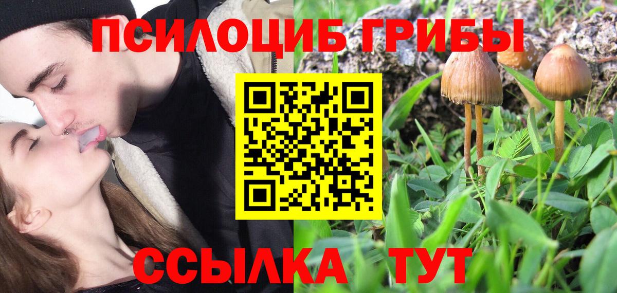 Псилоцибиновые грибы Cubensis Рузаевка