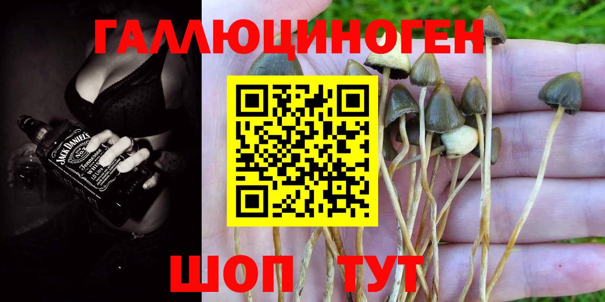 Рузаевка  Псилоцибиновые грибы GOLDEN TEACHER  Вход с VPN 